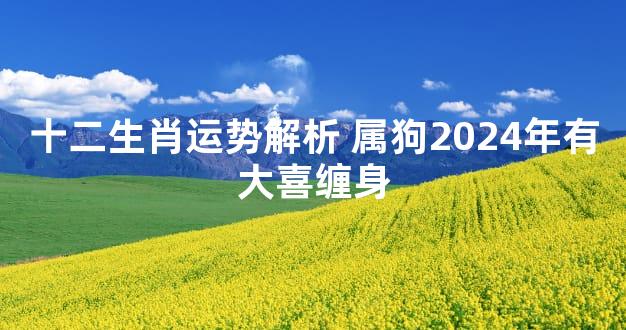 十二生肖运势解析 属狗2024年有大喜缠身